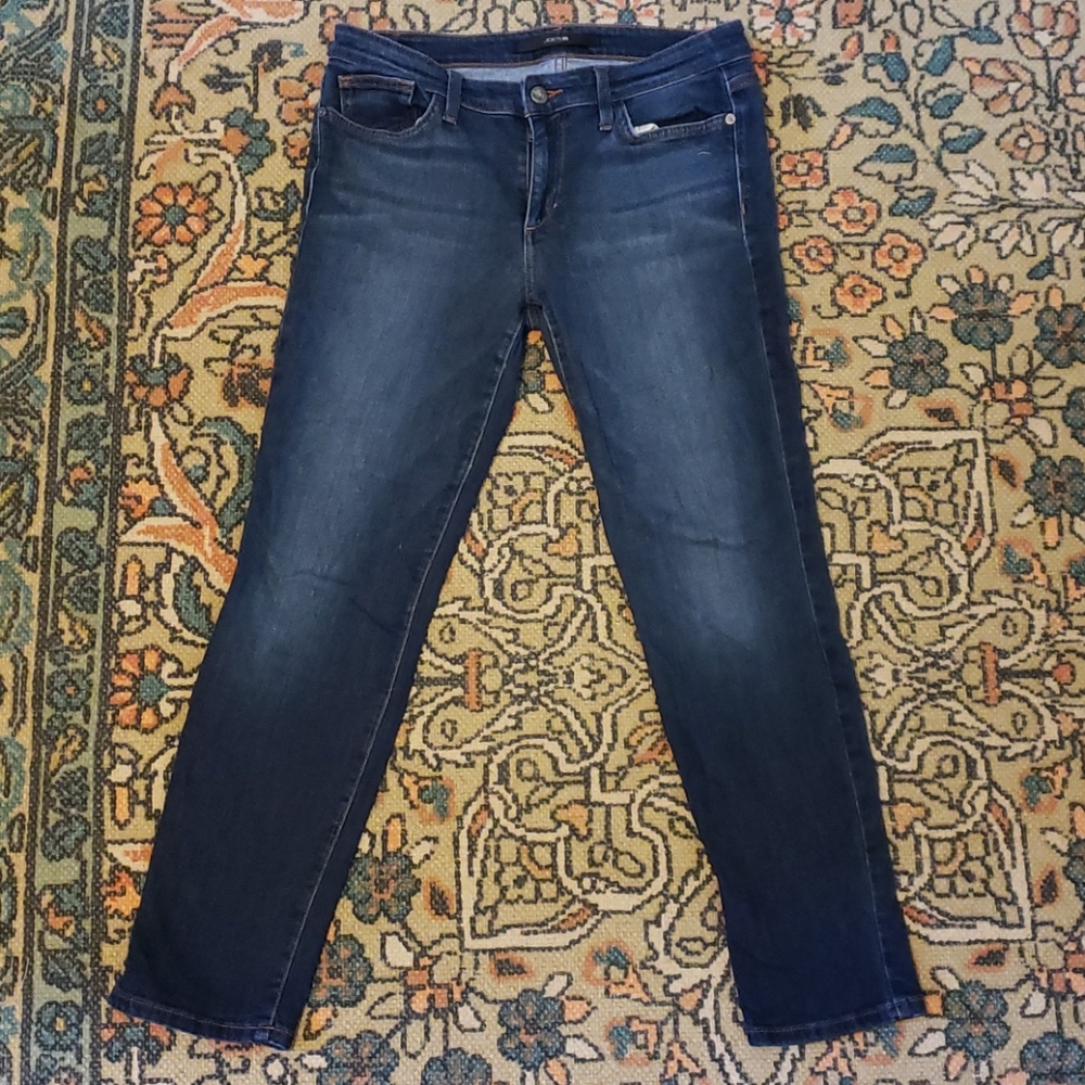 Joe's Jeans Women's Skinny Jeans in Dark Blue Indigo